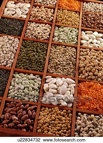 Beans And Pulses - Non Exclusive View Large Photo Image Stock Image - Beans And Pulses - Non Exclusive. Fotosearch