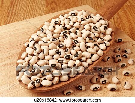 Black Eyed Bean Pea View Large Photo Image Stock Image - Black Eyed Bean Pea. Fotosearch