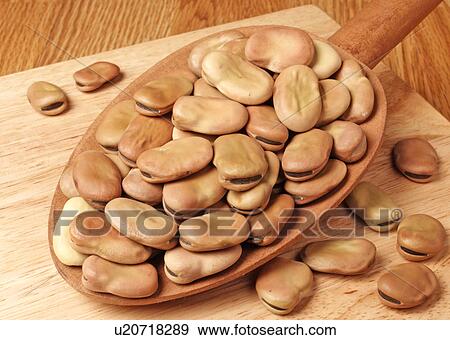 Broad Beans View Large Photo Image Stock Photo - Broad Beans. Fotosearch