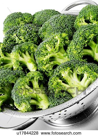 Broccoli Florets In Colander View Large Photo Image Stock Photo - Broccoli Florets In Colander. Fotosearch