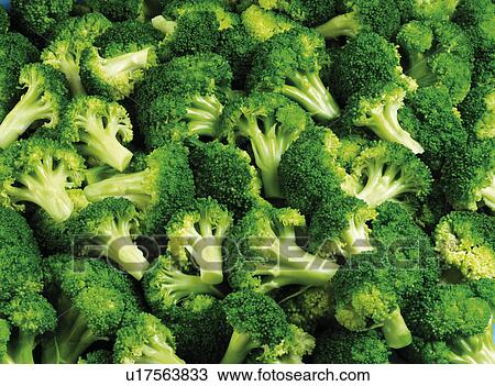 Broccoli Florets - Non Exclusive View Large Photo Image Stock Image - Broccoli Florets - Non Exclusive. Fotosearch