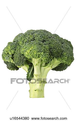 Broccoli View Large Photo Image Stock Image - Broccoli. Fotosearch