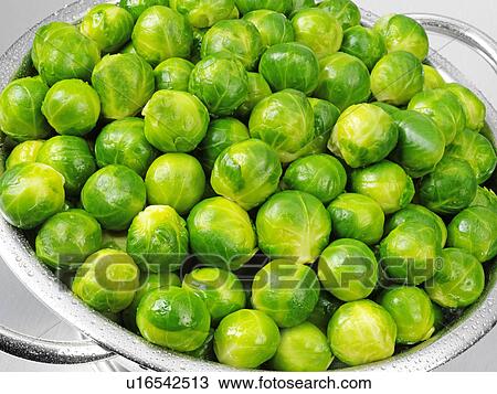 Brussel Sprouts In Colander View Large Photo Image Stock Image - Brussel Sprouts In Colander. Fotosearch