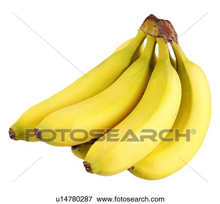Stock Photo - Bunch of bananas on white. Fotosearch