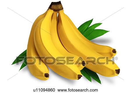 Bunch of bananas View Large Photo Image Stock Image - Bunch of bananas. Fotosearch