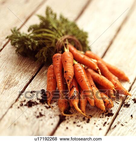 bunch of carrots View Large Photo Image Stock Photo - bunch of carrots. Fotosearch