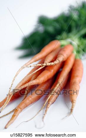 Stock Photography - Bunch of Carrots. Fotosearch