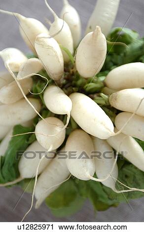 Stock Image - Bunch of white radish. Fotosearch