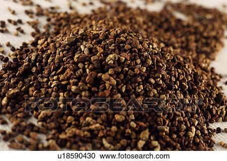 Stock Image - Cardamon Seeds. Fotosearch