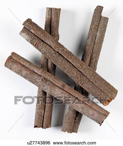 Stock Photograph - Chinese Cinnamon. Fotosearch