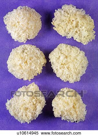 Stock Photography - Chinese White Fungus. Fotosearch