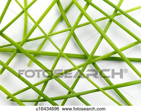 Stock Photograph - Chives. Fotosearch