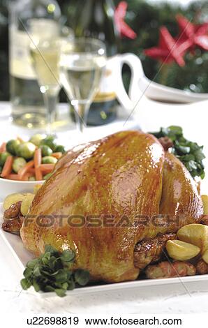 Christmas turkey View Large Photo Image Stock Photo - Christmas turkey. Fotosearch