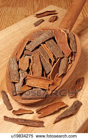 Stock Photography - Cinnamon Bark Cassia Cinnamon. Fotosearch