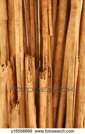 Stock Photo - Cinnamon sticks. Fotosearch