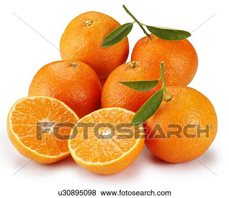 Clementines Group - Non Exclusive View Large Photo Image Stock Photo - Clementines Group - Non Exclusive. Fotosearch