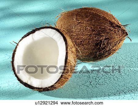 Coconuts on blue View Large Photo Image Picture - Coconuts on blue. Fotosearch