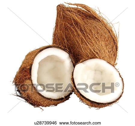 Coconuts on White - Non Exclusive View Large Photo Image Stock Photograph - Coconuts on White - Non Exclusive. Fotosearch