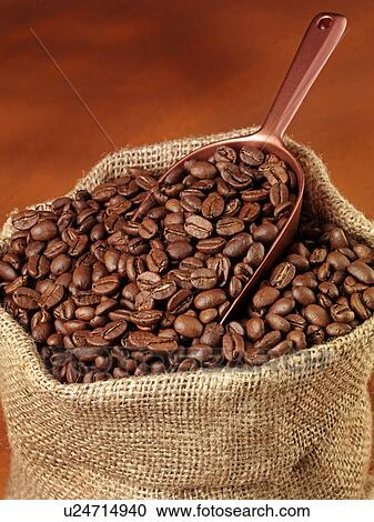 Coffee Beans in Sack - Non Exclusive View Large Photo Image Stock Image - Coffee Beans in Sack - Non Exclusive. Fotosearch