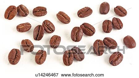 Coffee Beans View Large Photo Image Stock Photo - Coffee Beans. Fotosearch