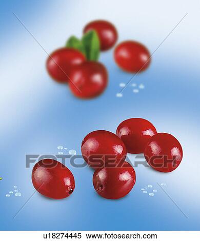 Stock Photography - Cranberries - Non Exclusive. Fotosearch