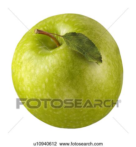 Dessert apple View Large Photo Image Stock Image - Dessert apple. Fotosearch
