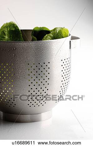 Stock Image - Draining lettuce. Fotosearch