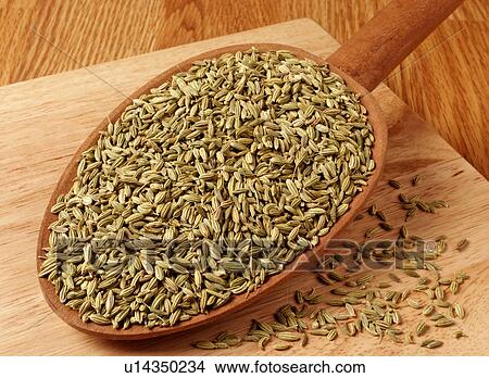 Picture - Dried Fennel. Fotosearch