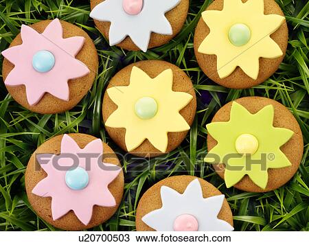 Easter Cookies Biscuits on Grass - Non Exclusive View Large Photo Image Stock Image - Easter Cookies Biscuits on Grass - Non Exclusive. Fotosearch