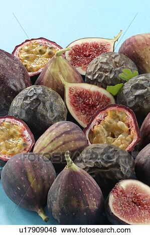 Stock Photo - Figs. Fotosearch