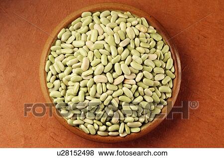Stock Photo - Flageolet beans. Fotosearch
