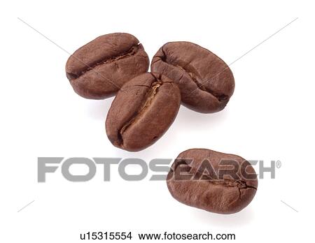 Four Coffee Beans - Non Exclusive View Large Photo Image Picture - Four Coffee Beans - Non Exclusive. Fotosearch