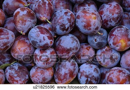 Stock Photograph - Fresh market plums. Fotosearch