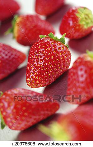Stock Photo - Fresh Strawberries. Fotosearch