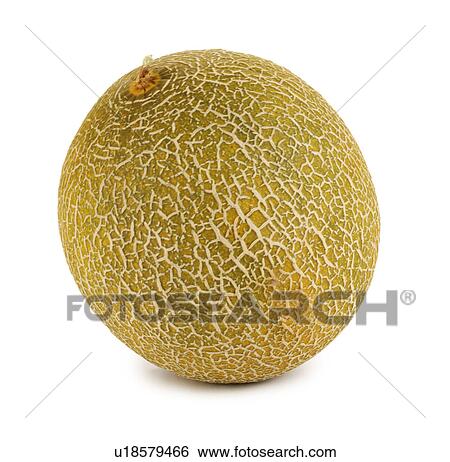 Stock Photograph - Galia melon. Fotosearch