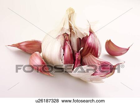 Garlic - Non Exclusive View Large Photo Image Stock Photo - Garlic - Non Exclusive. Fotosearch