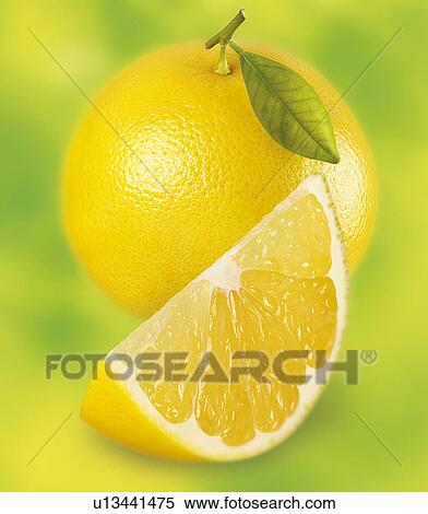 Stock Photography - Grapefruit On Green - Non Exclusive. Fotosearch