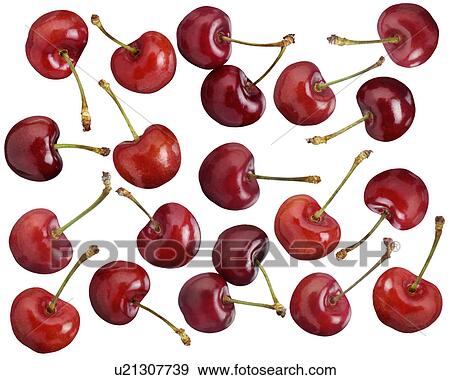 Green Apples - Non Exclusive View Large Photo Image Stock Photo - Green Apples - Non Exclusive. Fotosearch