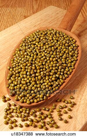 Green Mung Beans View Large Photo Image Stock Photo - Green Mung Beans. Fotosearch