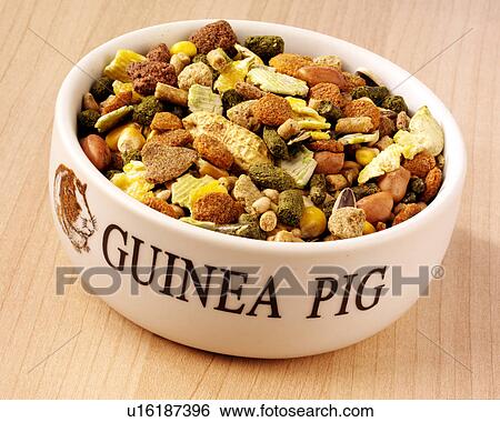 Stock Photograph - Guinea Pig Food - Non Exclusive. Fotosearch