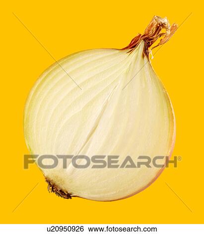 Half onion on yellow View Large Photo Image Stock Photograph - Half onion on yellow. Fotosearch