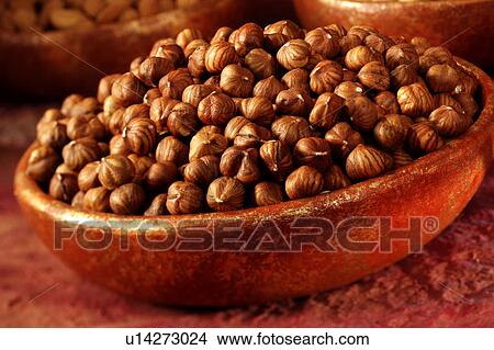 Hazelnuts View Large Photo Image Picture - Hazelnuts. Fotosearch