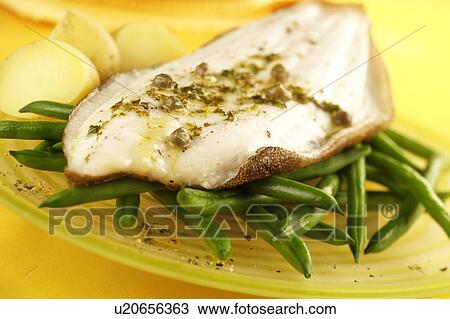 Stock Image - Lemon Sole - Non Exclusive. Fotosearch