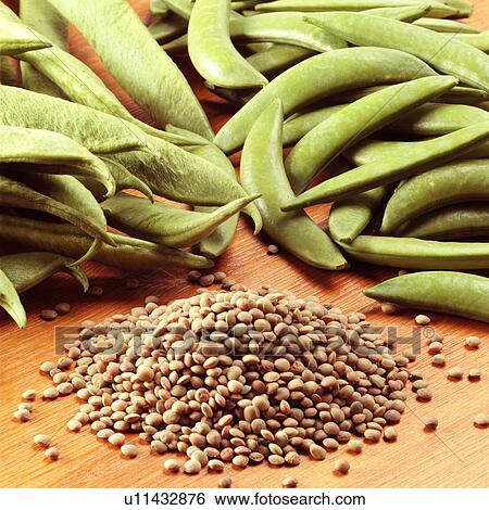 Lentils and green beans View Large Photo Image Stock Photograph - Lentils and green beans. Fotosearch