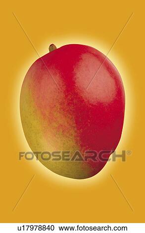 Mango on orange background View Large Photo Image Stock Image - Mango on orange background. Fotosearch