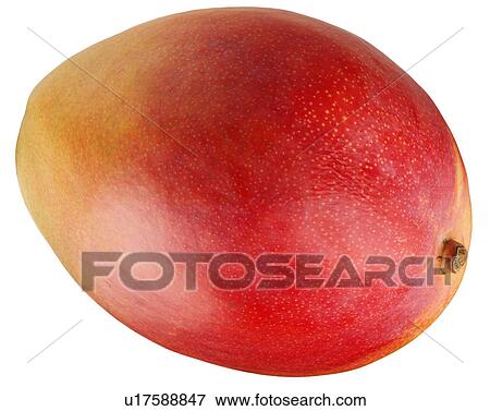 Stock Photo - Mango on White - Non Exclusive. Fotosearch