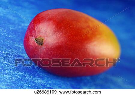Stock Photo - Mango. Fotosearch