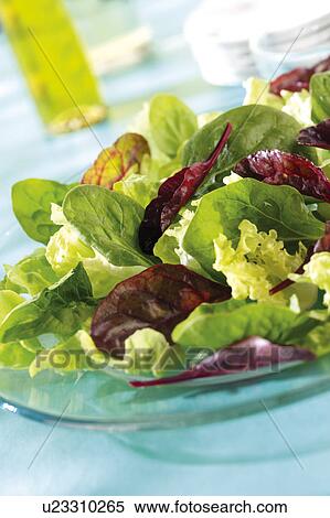 Stock Photography - Mixed leaf salad. Fotosearch