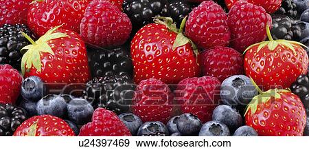 Stock Photo - Mixed Summer Fruits. Fotosearch