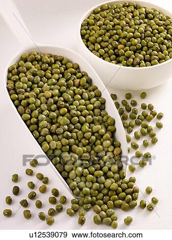 Stock Photo - Mung Beans in Scoop - Non Exclusive. Fotosearch